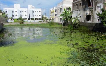 Cover image of Understanding how changing monsoon seasons impact urban development